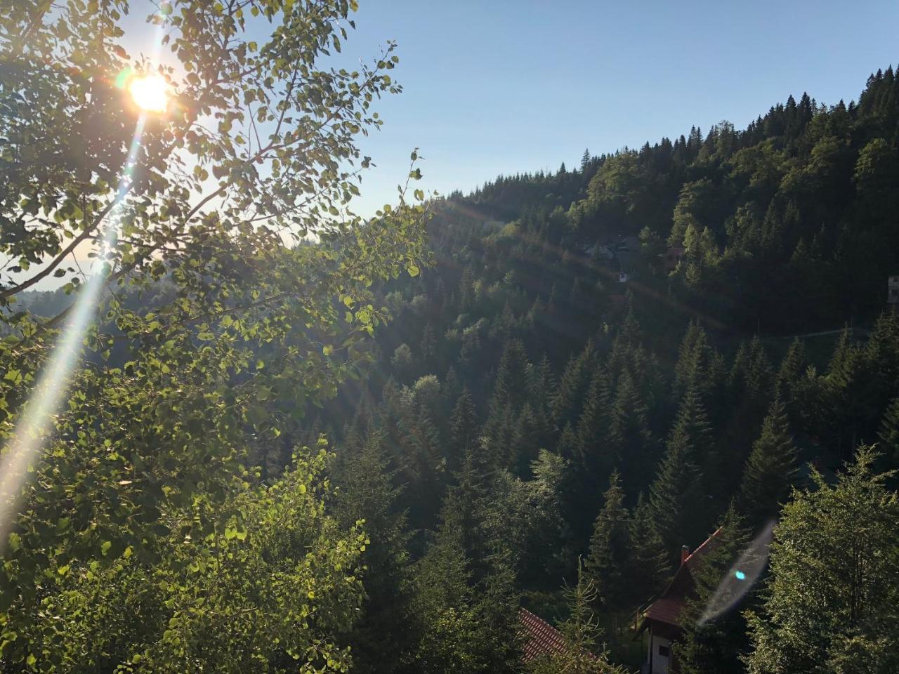 Apartamento Stara Bacija Kopaonik Exterior foto