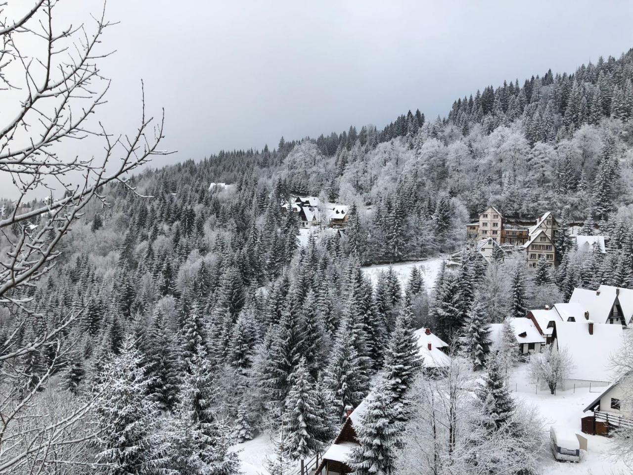Apartamento Stara Bacija Kopaonik Exterior foto